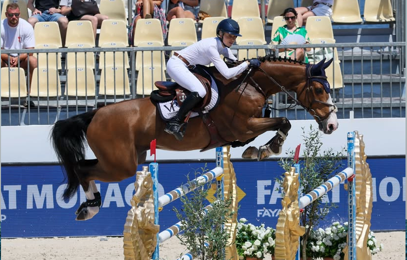 From crypto law to olympic dream