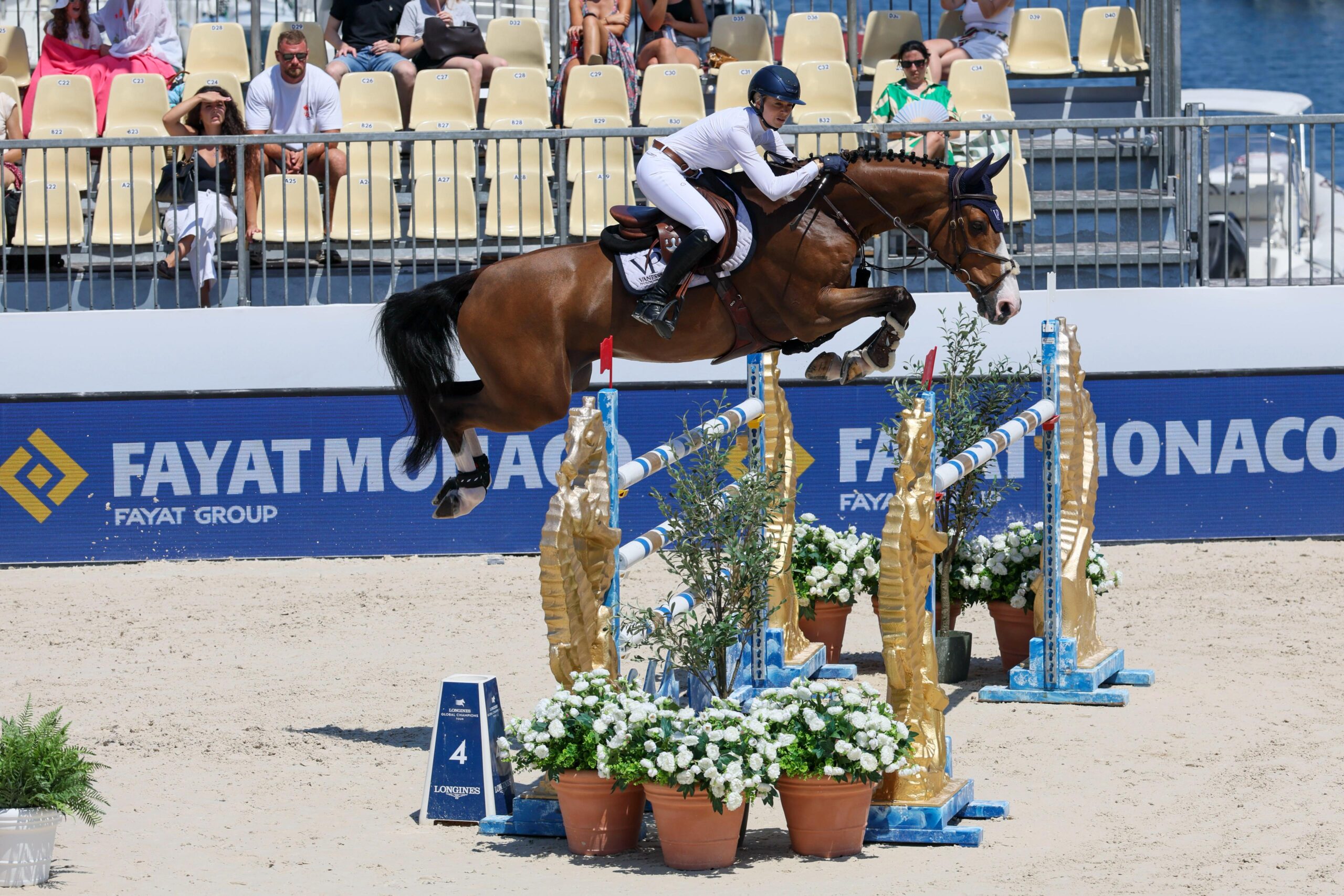 From crypto law to olympic dream