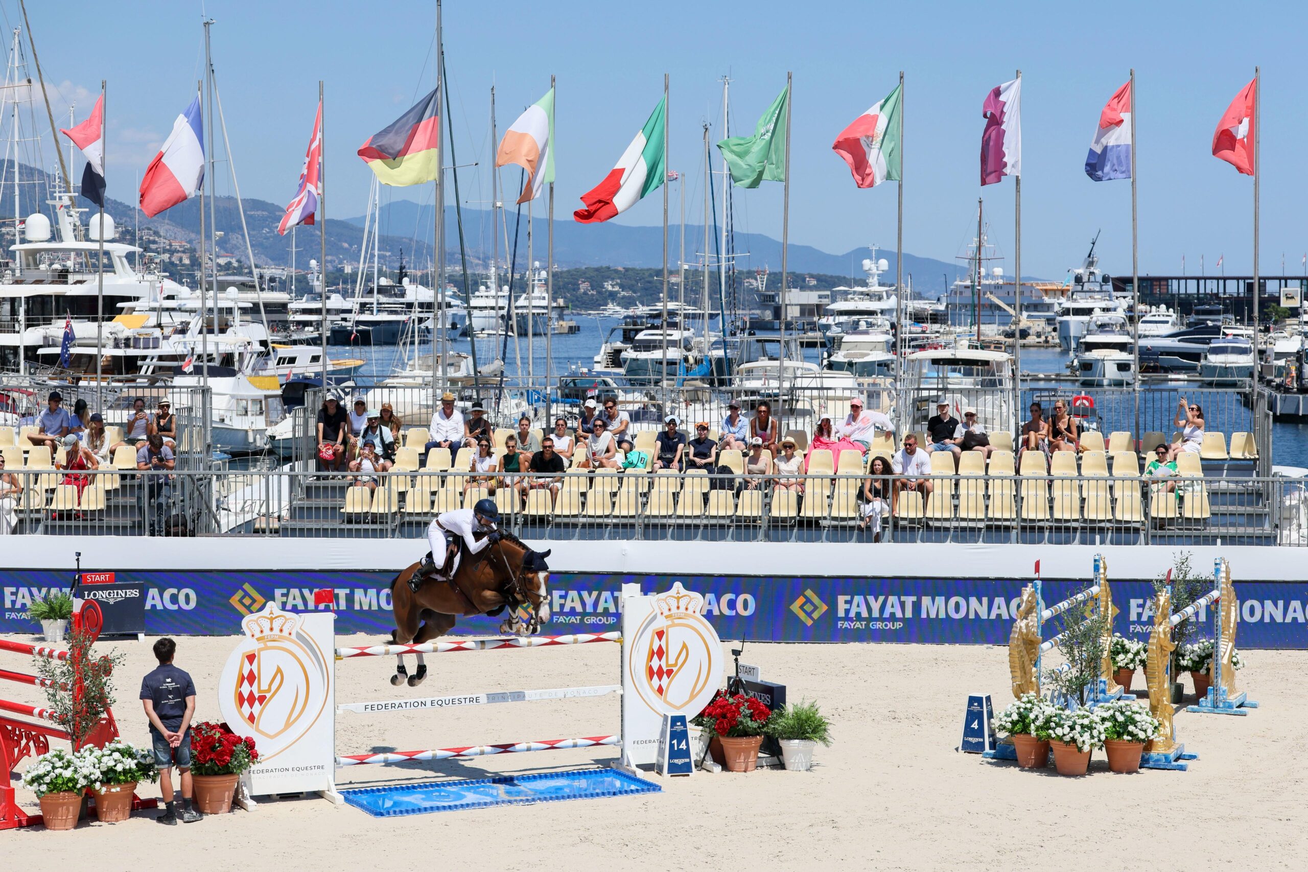 From crypto law to olympic dream