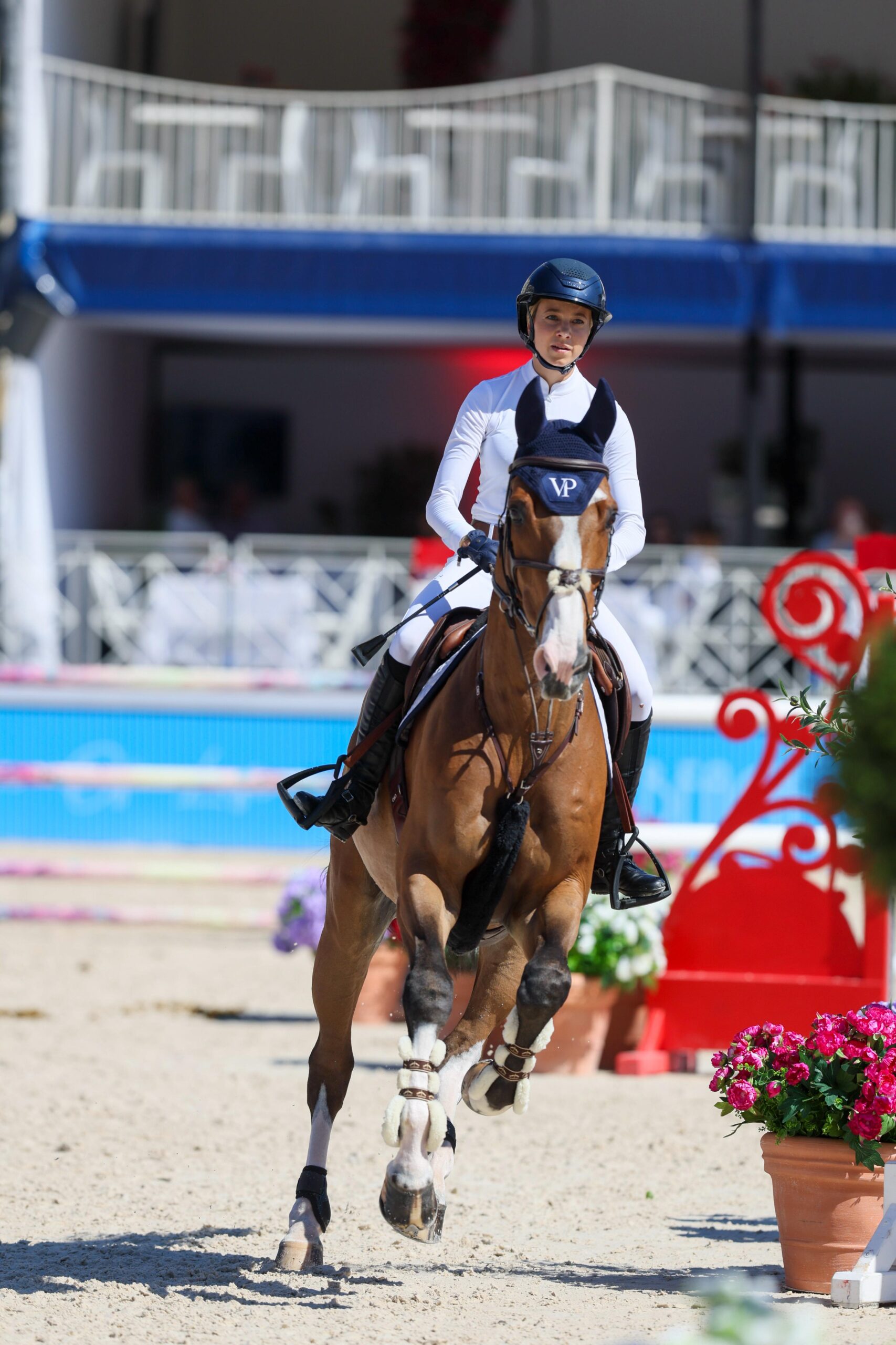 From crypto law to olympic dream